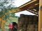 Stockage Fourrages Bois Francois Cordonnier Concept Bois Seine Maritime Eure Haute Normandie Picardie Oise Somme