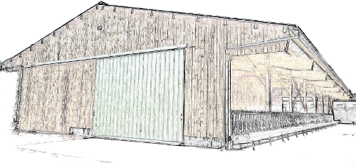 concept-bois-dessin